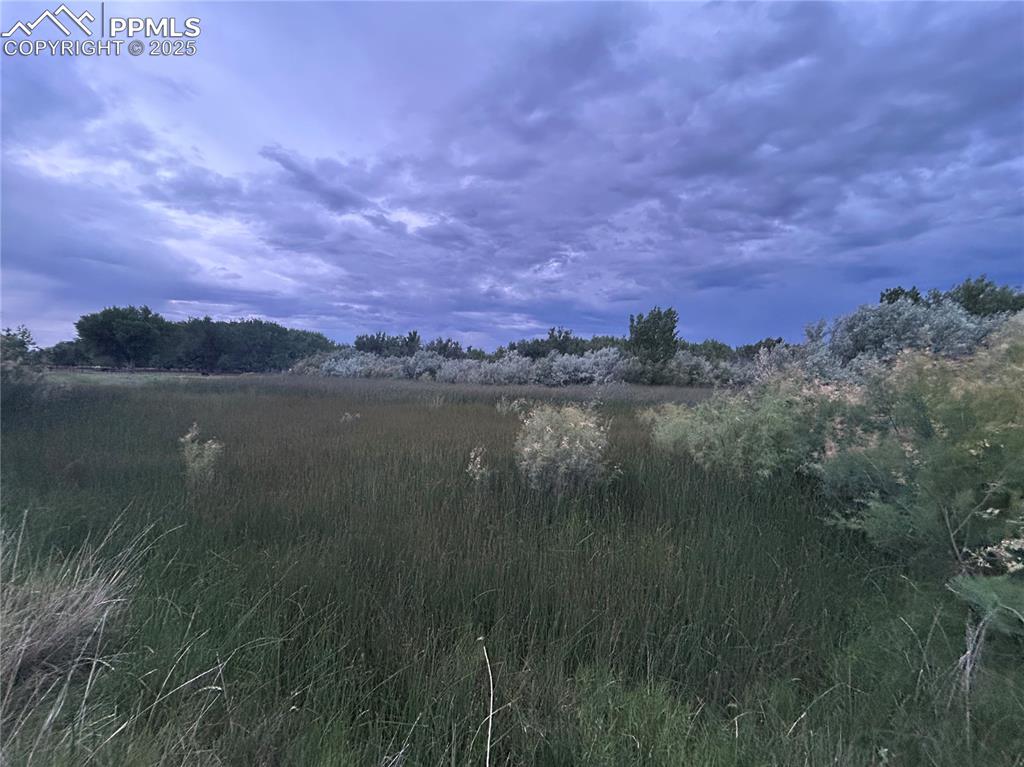 Image 7 of 9: Other