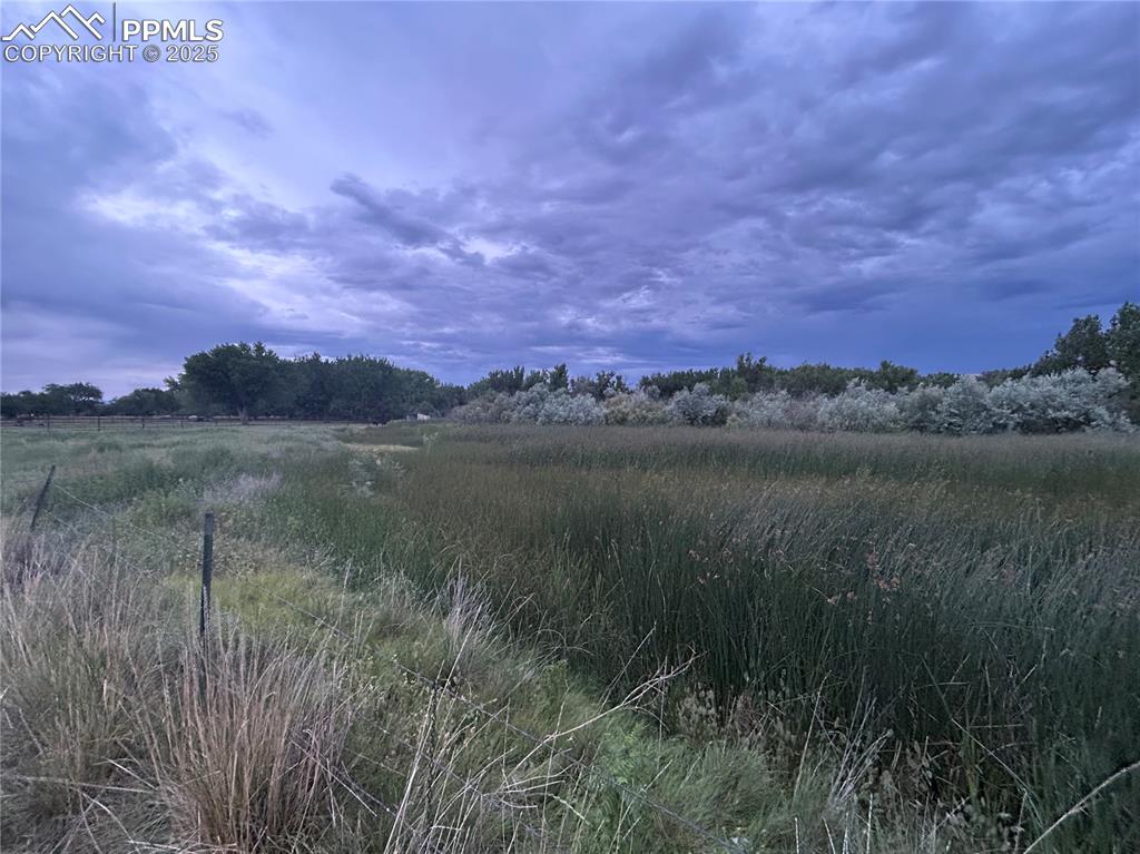 Image 9 of 9: Other