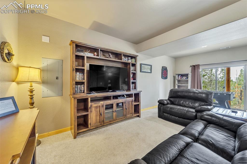 Image 19 of 47: Carpeted living area featuring baseboards and electric panel
