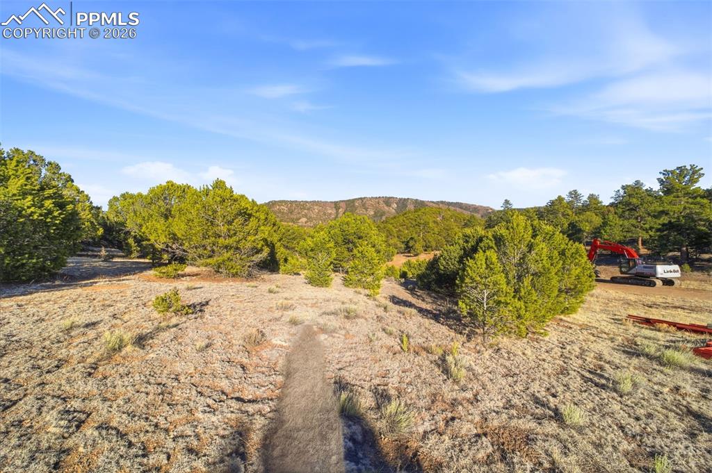 Image 10 of 20: View