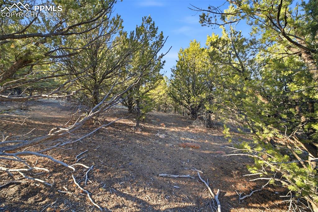 Image 11 of 20: Other