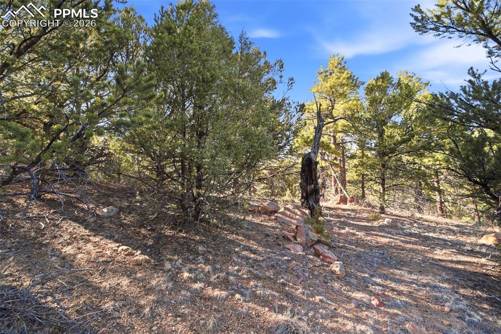 Image 13 of 20: Other