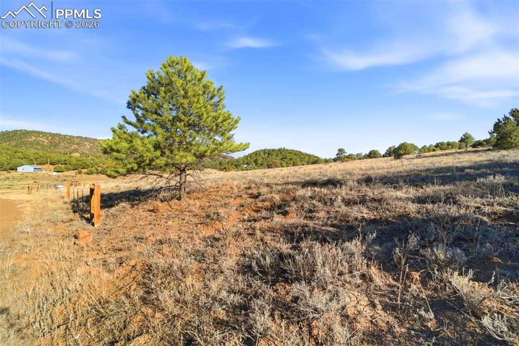 Image 15 of 20: Other