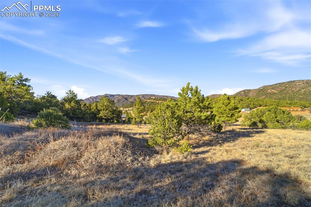 Image 17 of 20: View