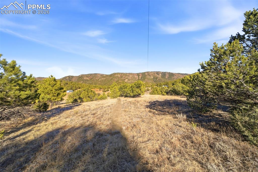 Image 18 of 20: View