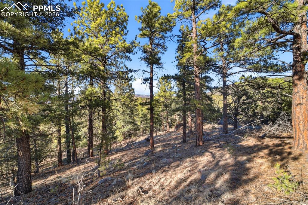 Image 20 of 20: Other