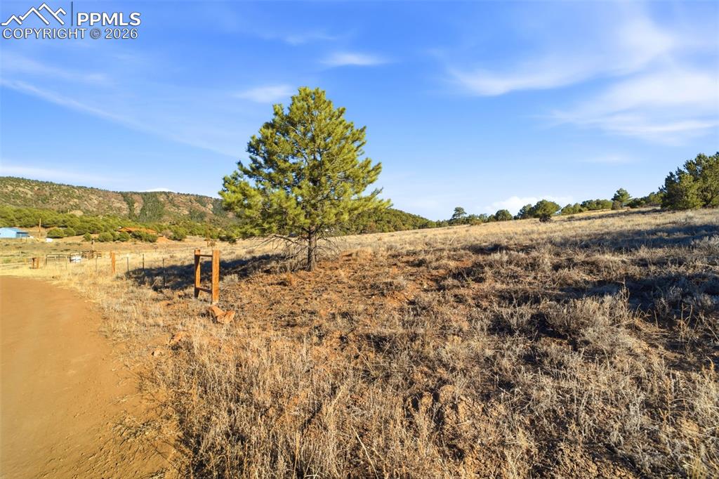 Image 5 of 20: Other