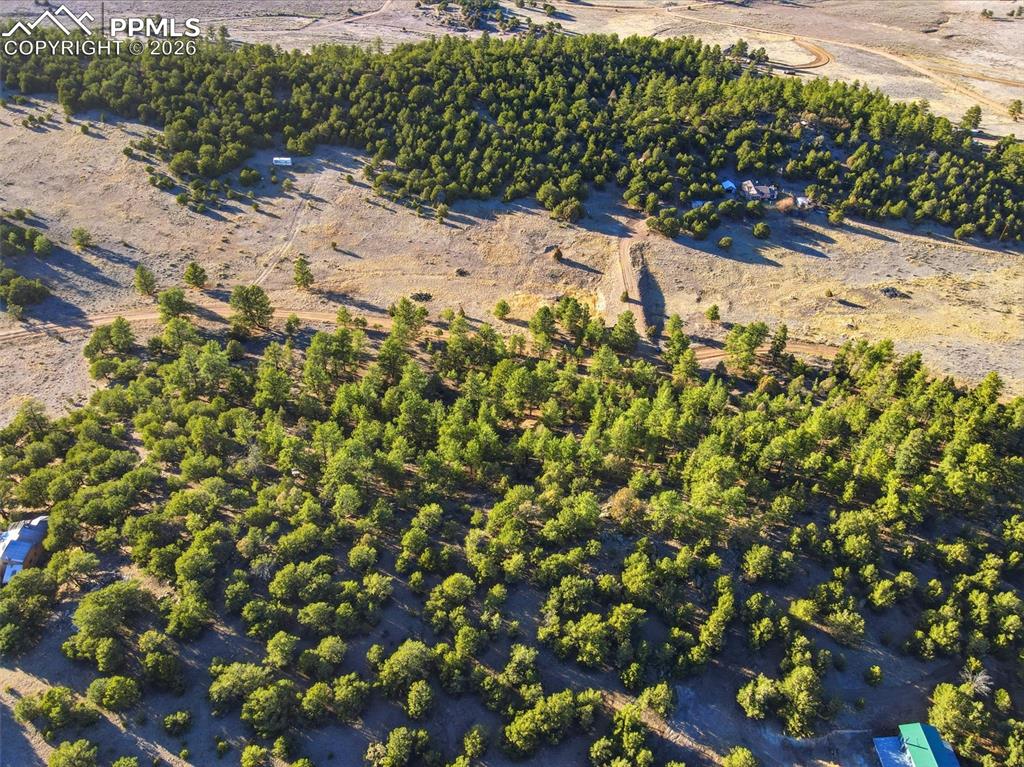 Image 8 of 20: Aerial View