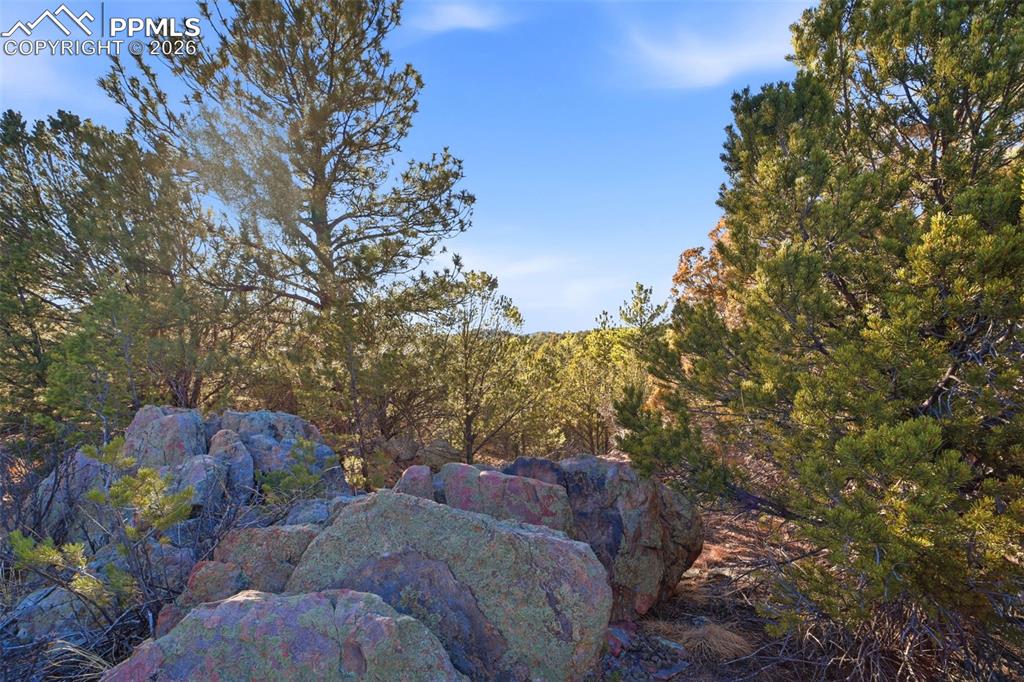 Image 9 of 20: Other