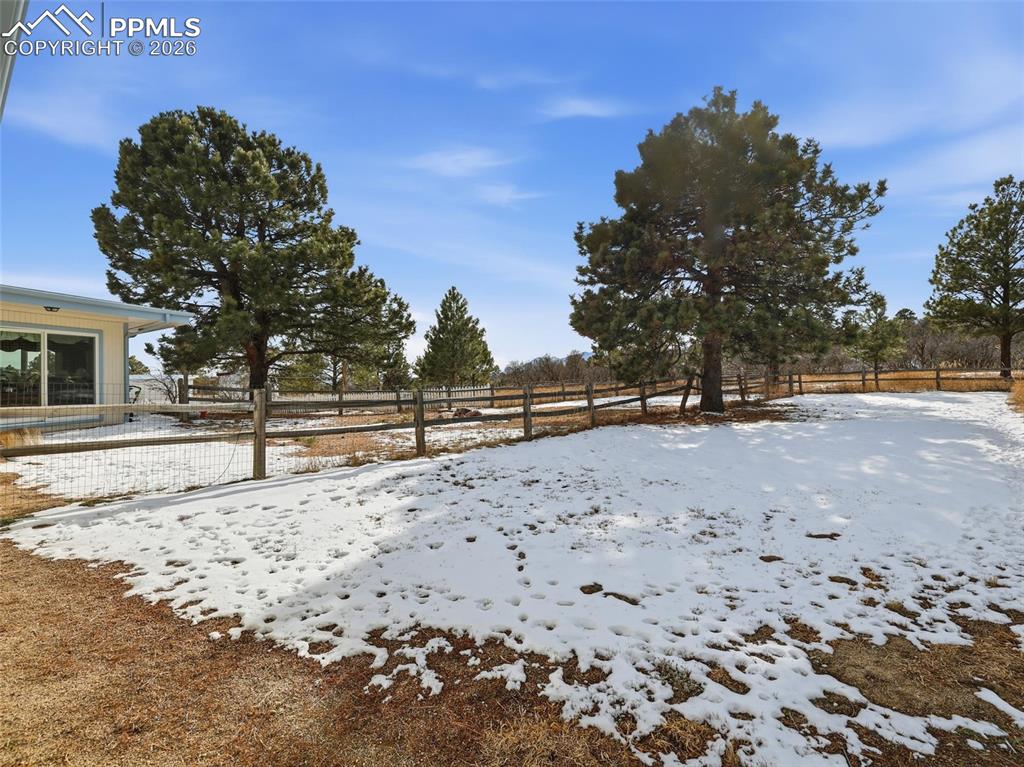 Image 43 of 50: Yard