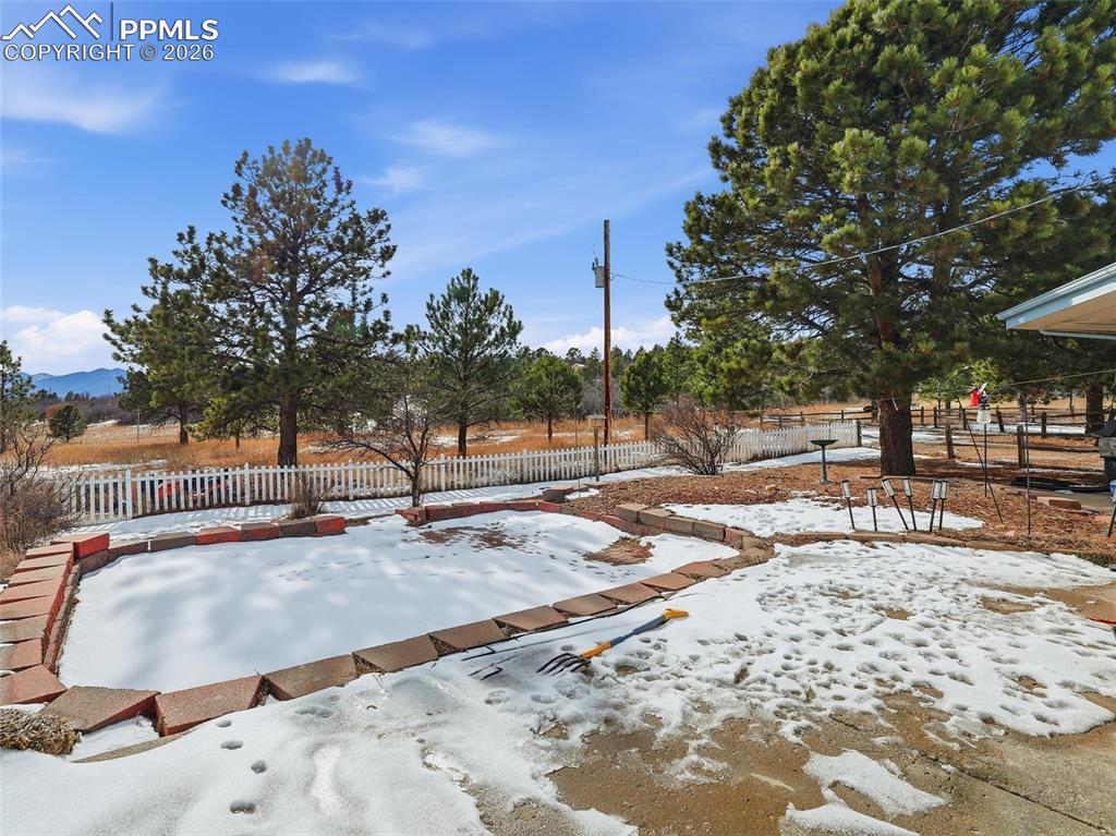 Image 45 of 50: Yard