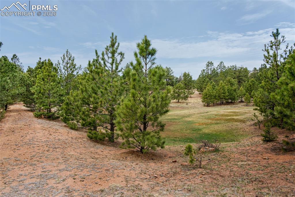 Image 12 of 15: View