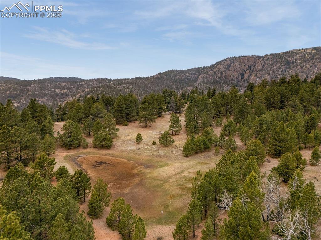 Image 13 of 15: Other