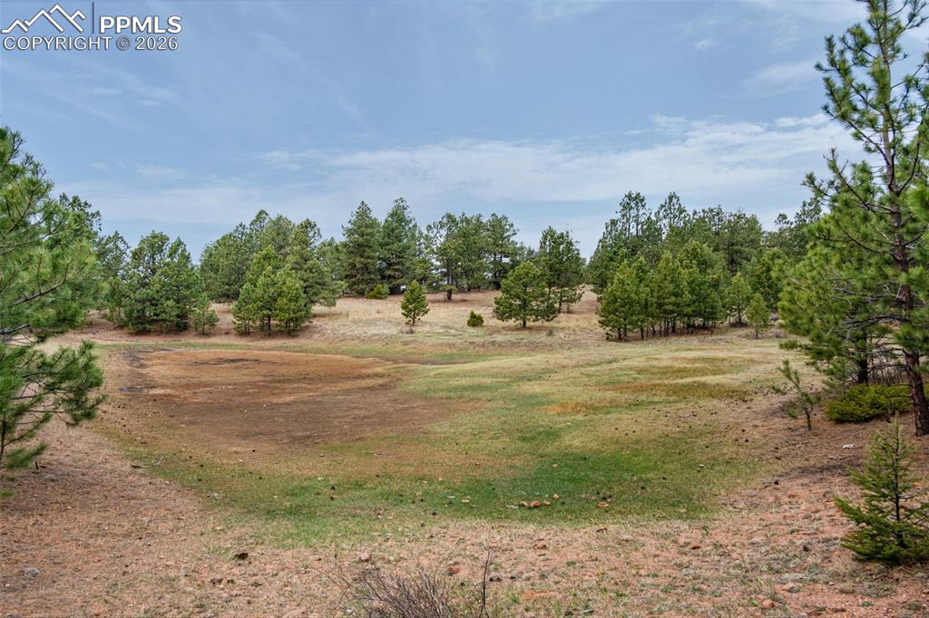 Image 3 of 15: Community