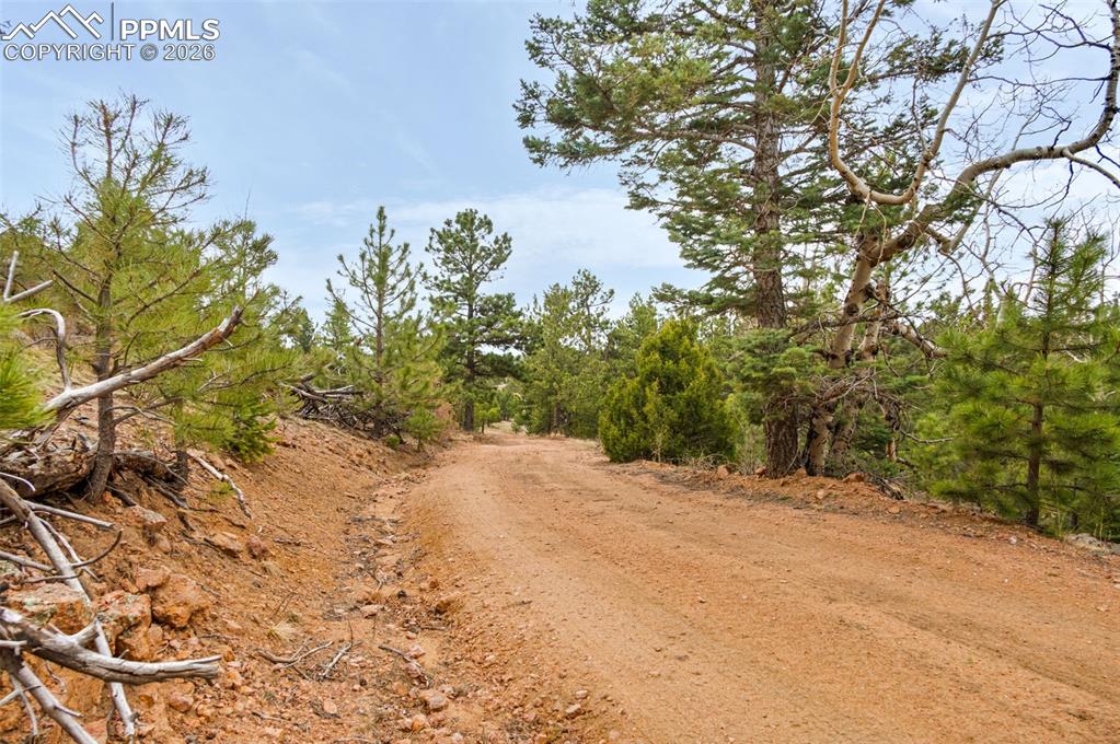 Image 4 of 15: Other