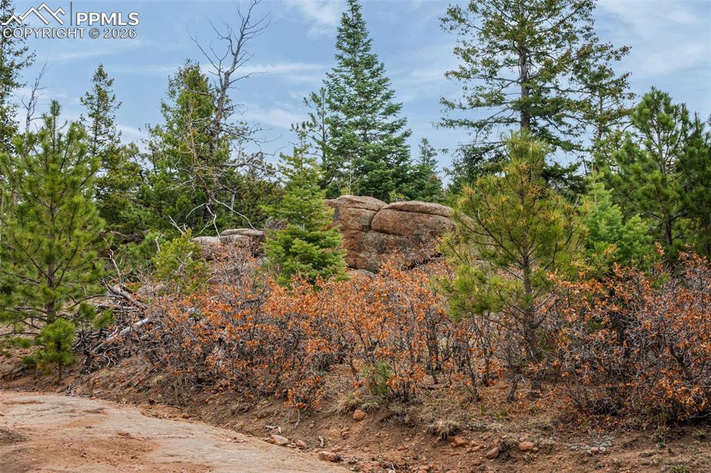 Image 5 of 15: Community