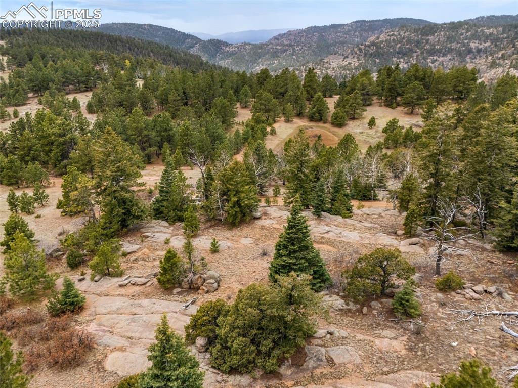 Image 6 of 15: Other