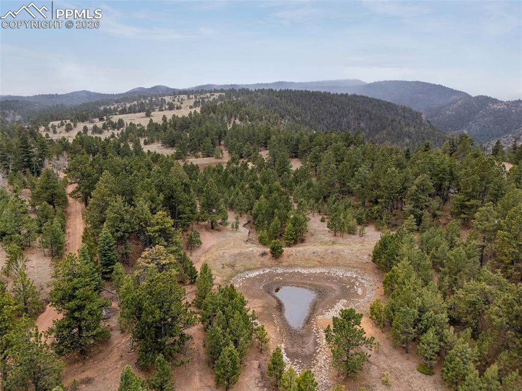 Image 8 of 15: Aerial View