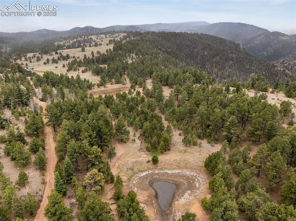 Image 9 of 15: Aerial View