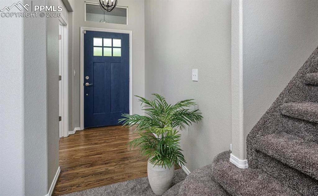 Image 9 of 49: Entry