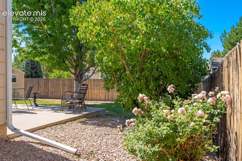 Image 37 of 47: Yard
