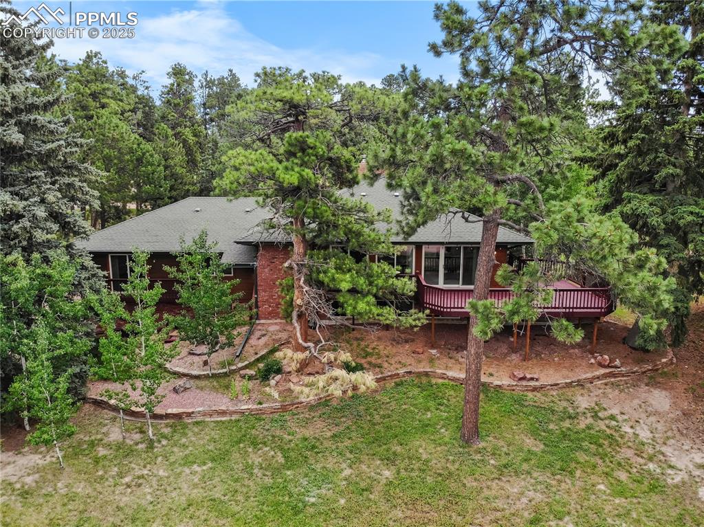 Image 36 of 44: Trees surround this wonderful quiet home.