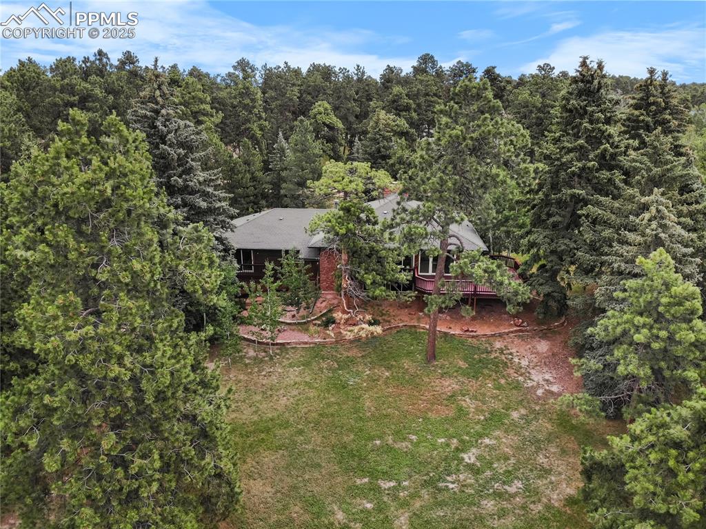 Image 41 of 44: Large yard surrounded by trees