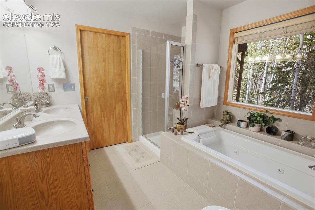 Image 11 of 23:  Lower Level Master Bedroom