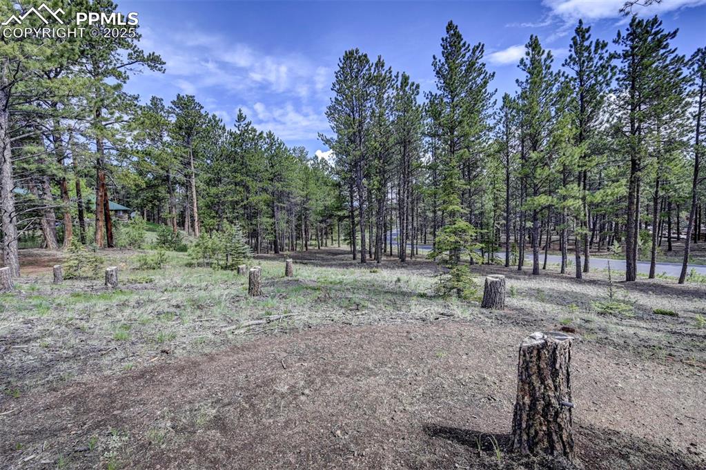 Image 10 of 15: Yard