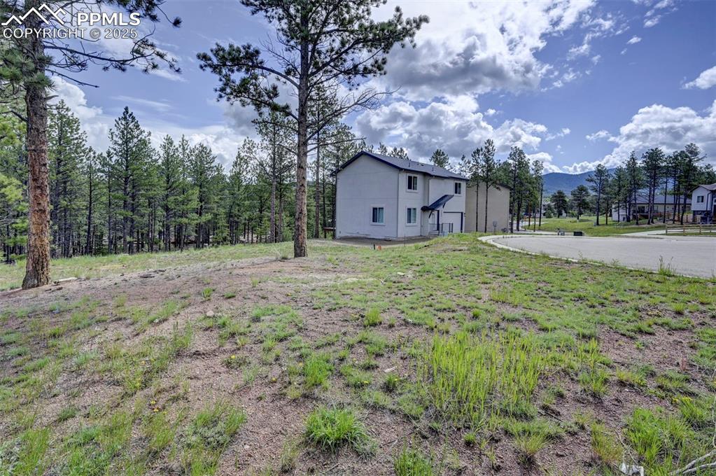 Image 11 of 15: Yard