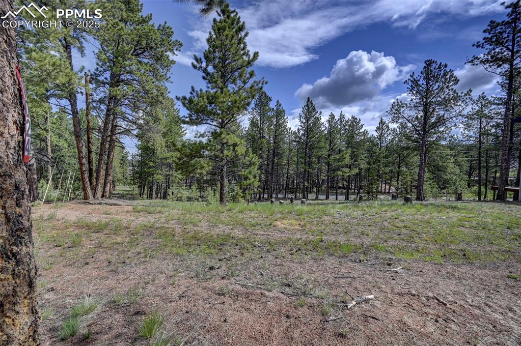 Image 8 of 15: Other