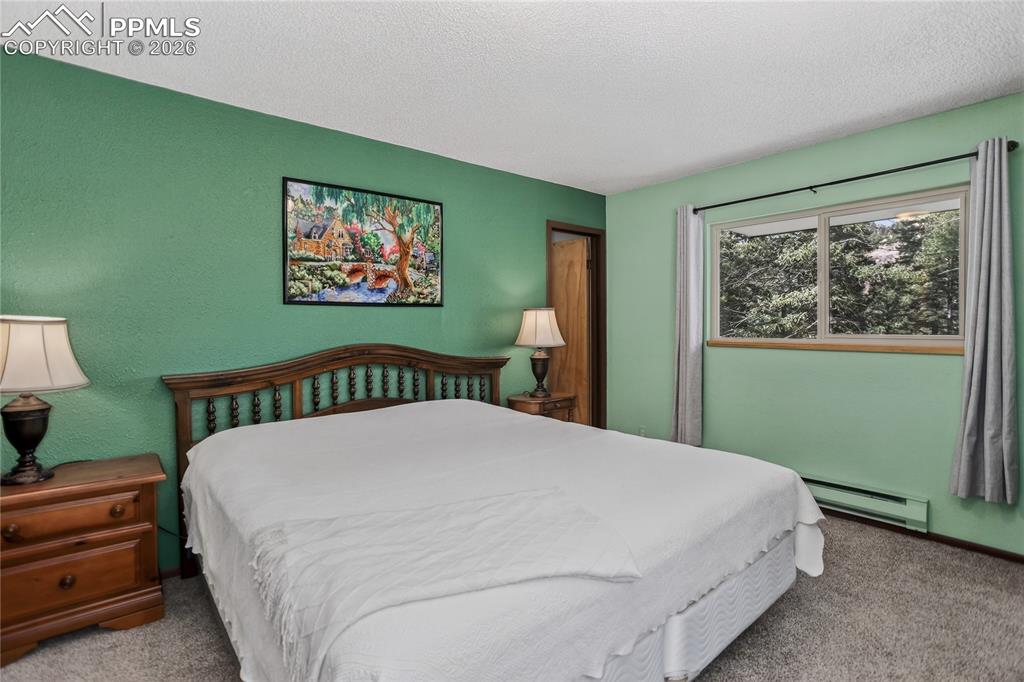 Image 18 of 50: Main level primary bedroom.