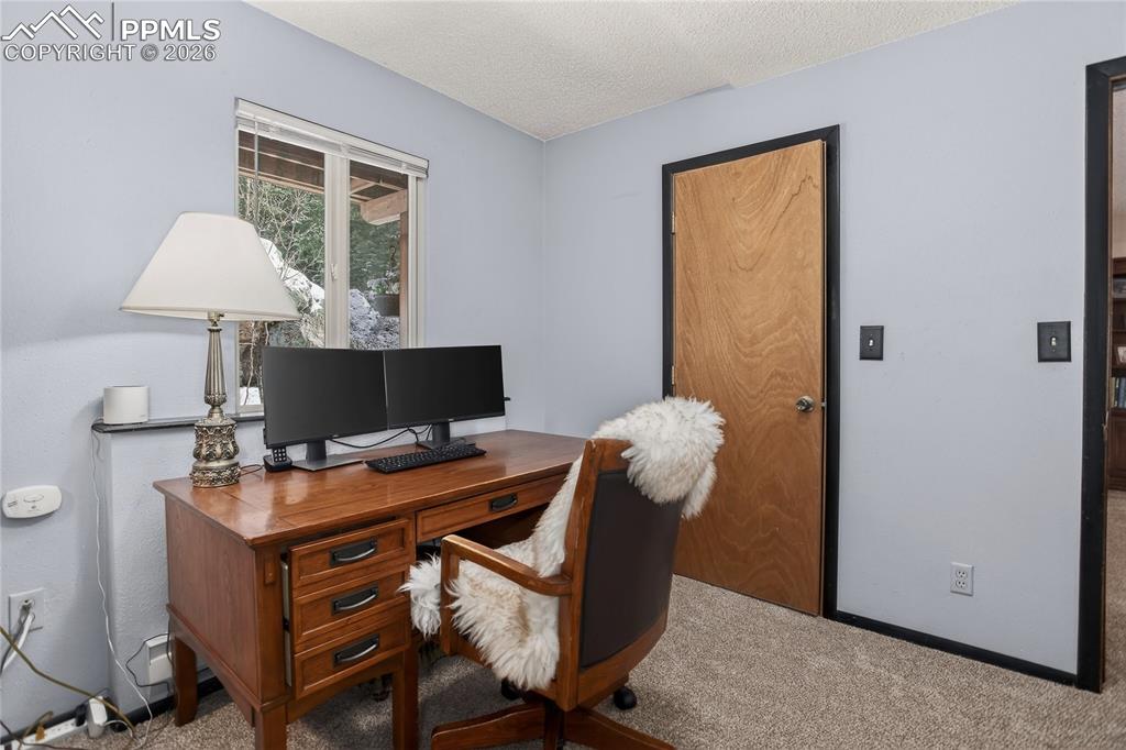 Image 31 of 50: Lower level 4th bedroom.