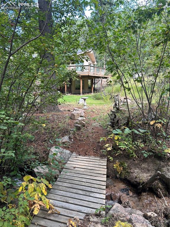 Image 44 of 50: View from the creek.