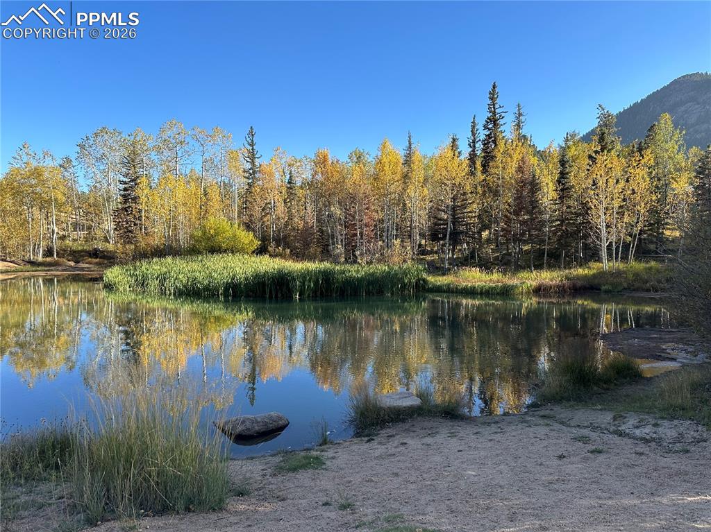 Image 48 of 50: Crystal Park pond.