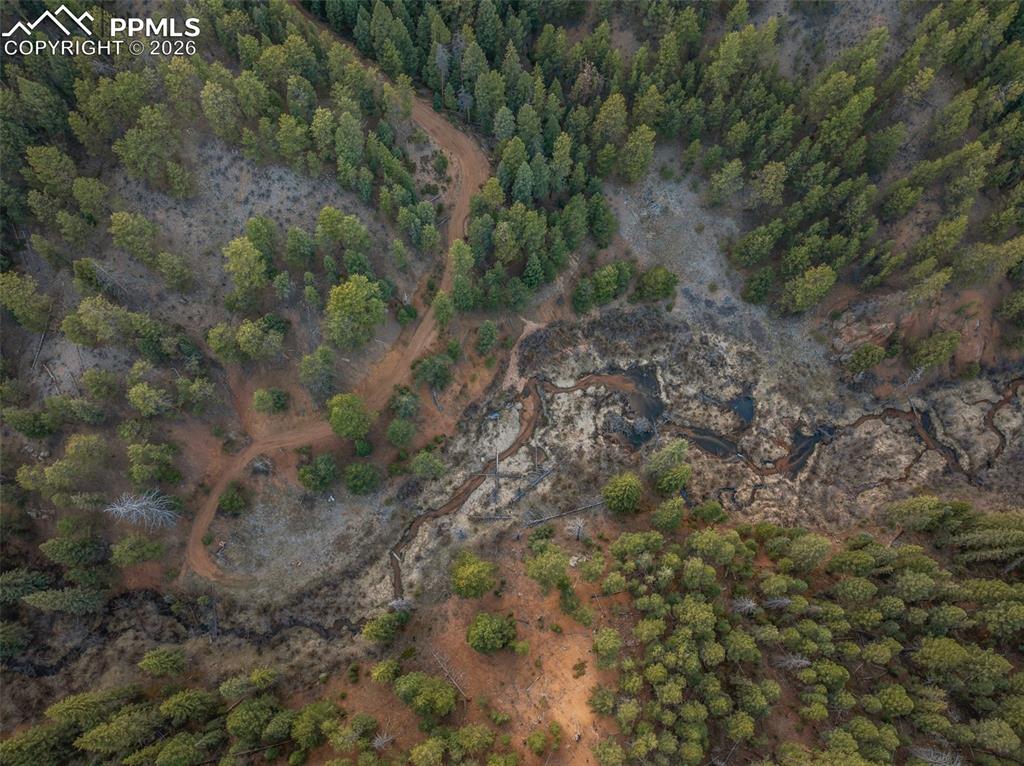 Image 44 of 49: Aerial View