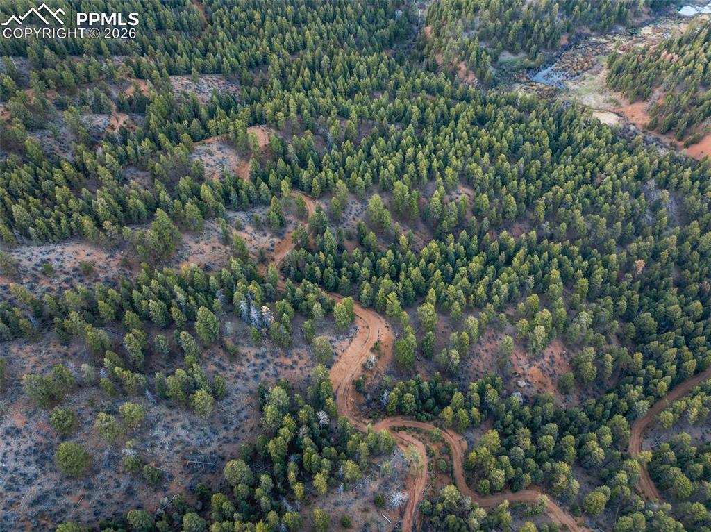 Image 46 of 49: Aerial View