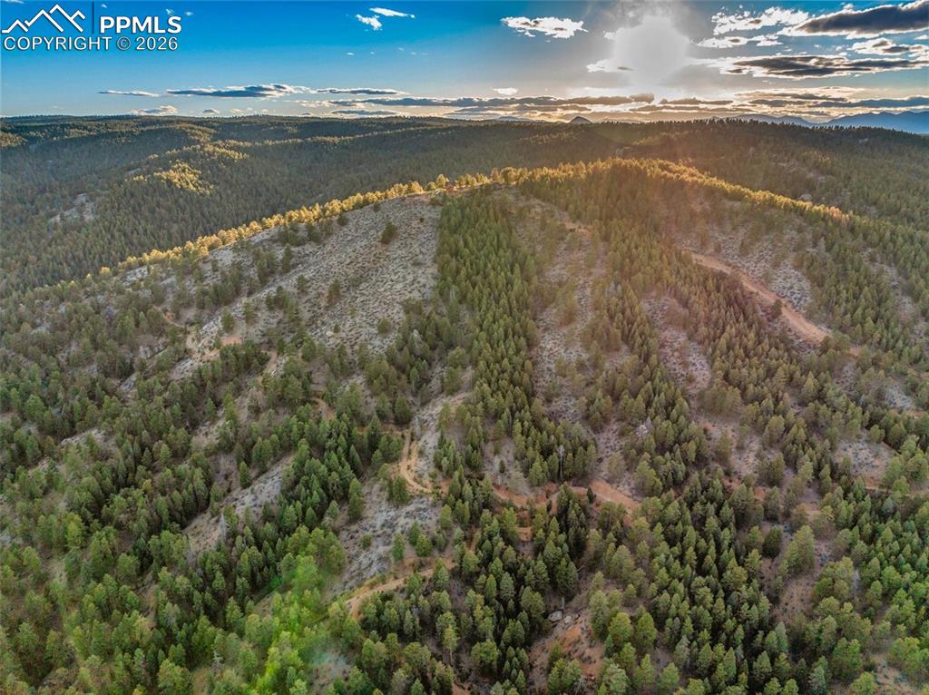 Image 47 of 49: Aerial View