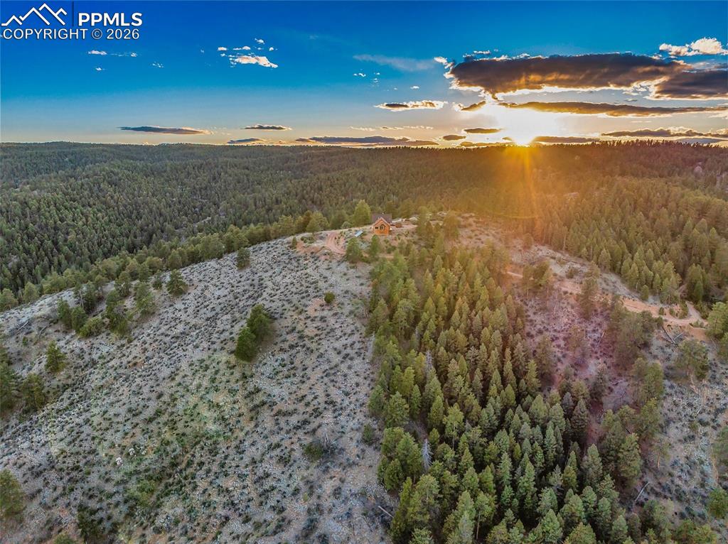 Image 49 of 49: Aerial View