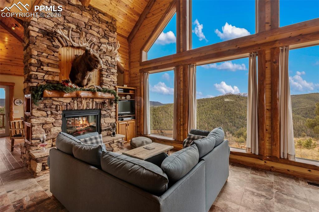 Image 6 of 49: Living Room