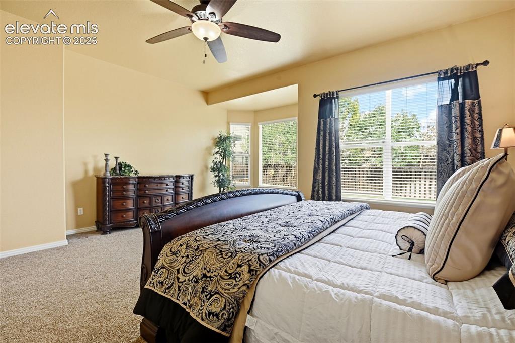 Image 11 of 41: Carpeted room featuring a ceiling fan with integrated lighting, multiple wi