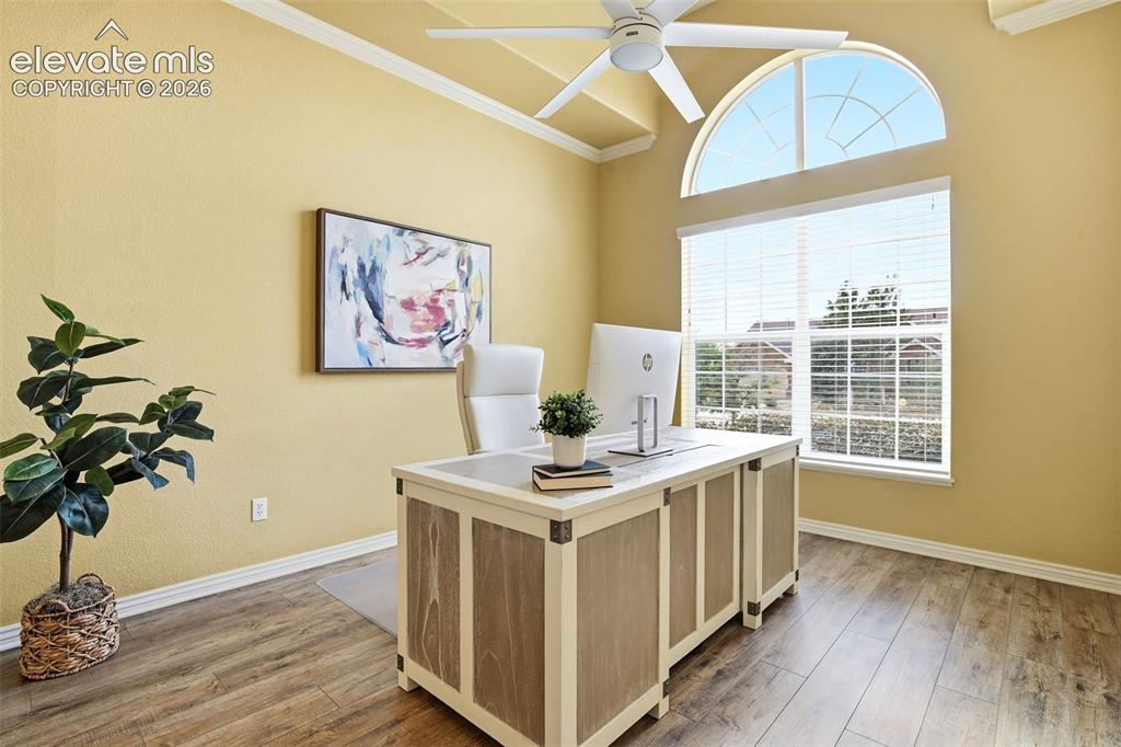 Image 7 of 41: Bright formal dining with tray celling, crown molding, half-round transom w