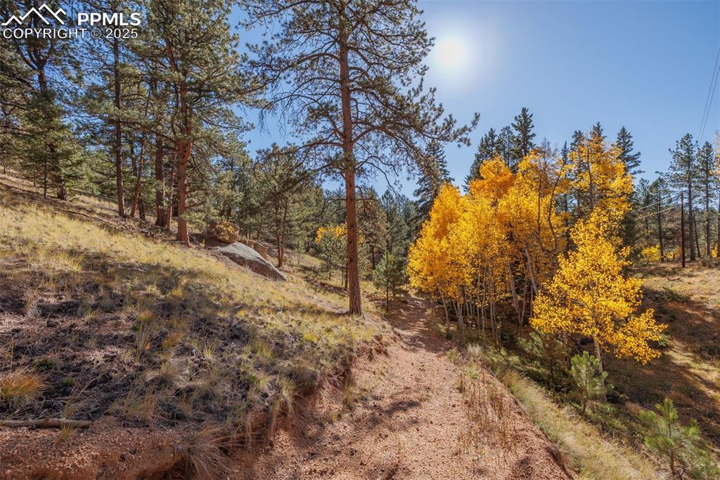 Image 10 of 12: Other