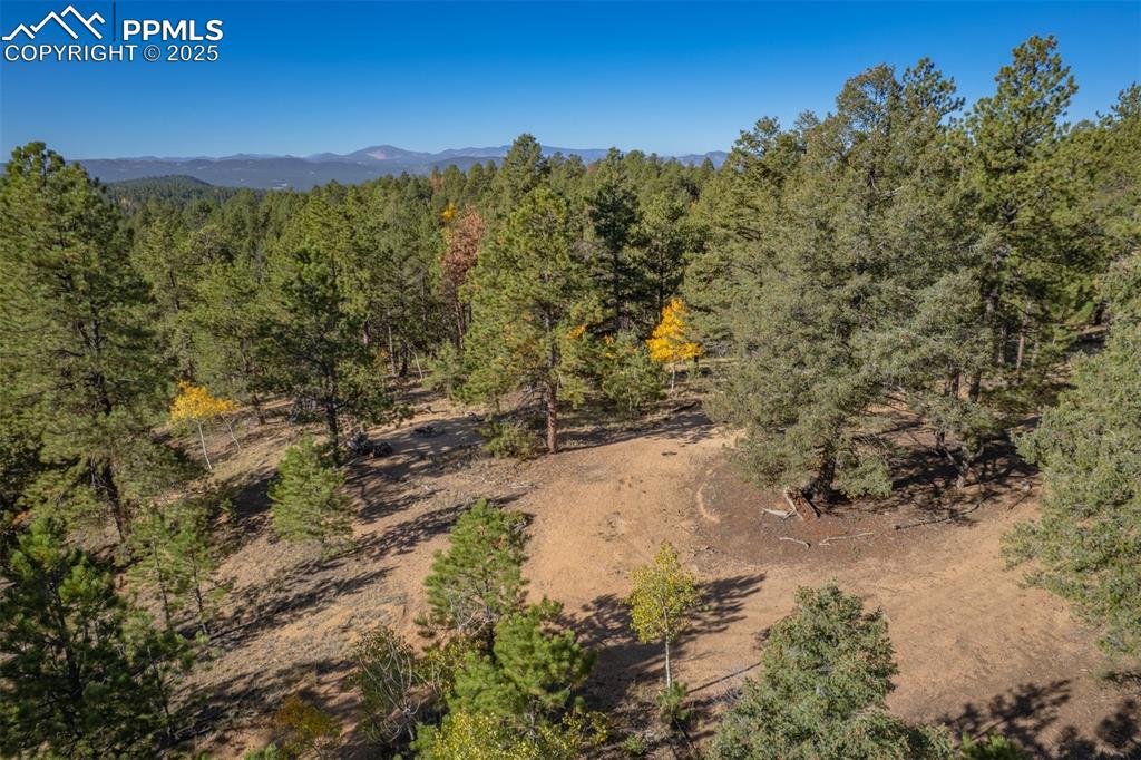 Image 7 of 12: Aerial View