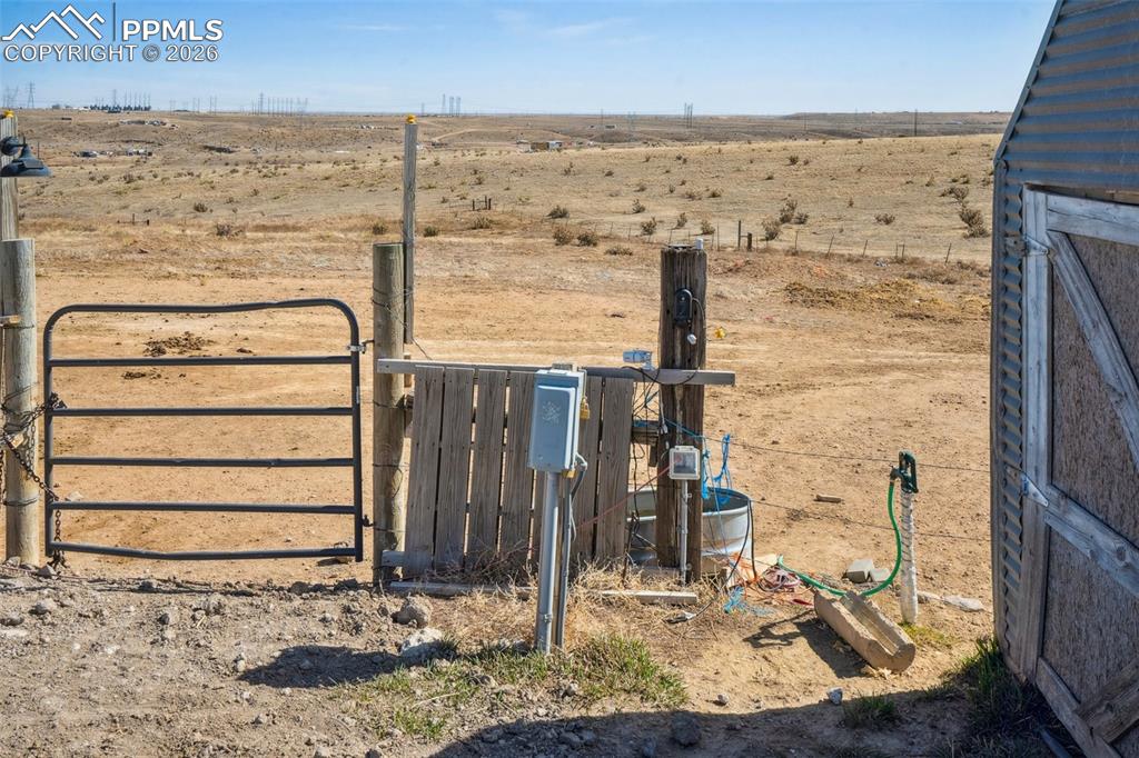 Image 32 of 34: corale 