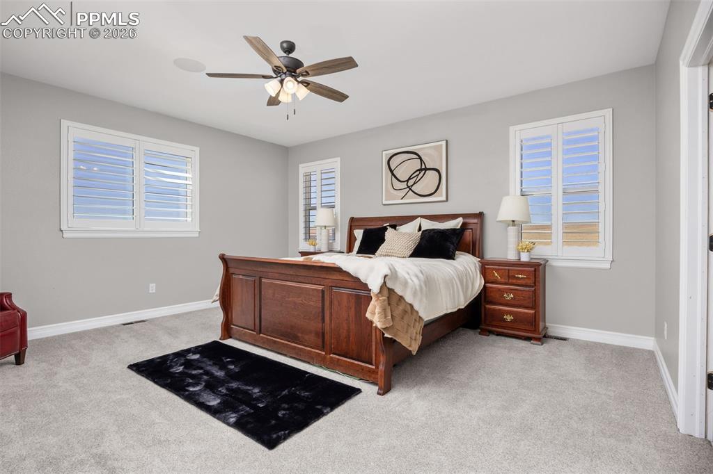Image 16 of 49: This room features light gray walls, light gray carpet, and white window sh