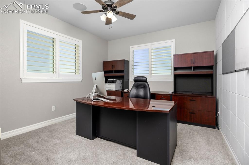 Image 20 of 49: This room features light grey walls, carpeted flooring, and windows with wh