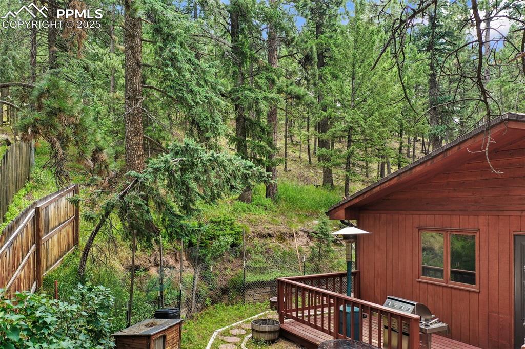 Image 42 of 48: Deck