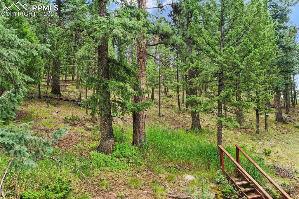 Image 45 of 48: Other