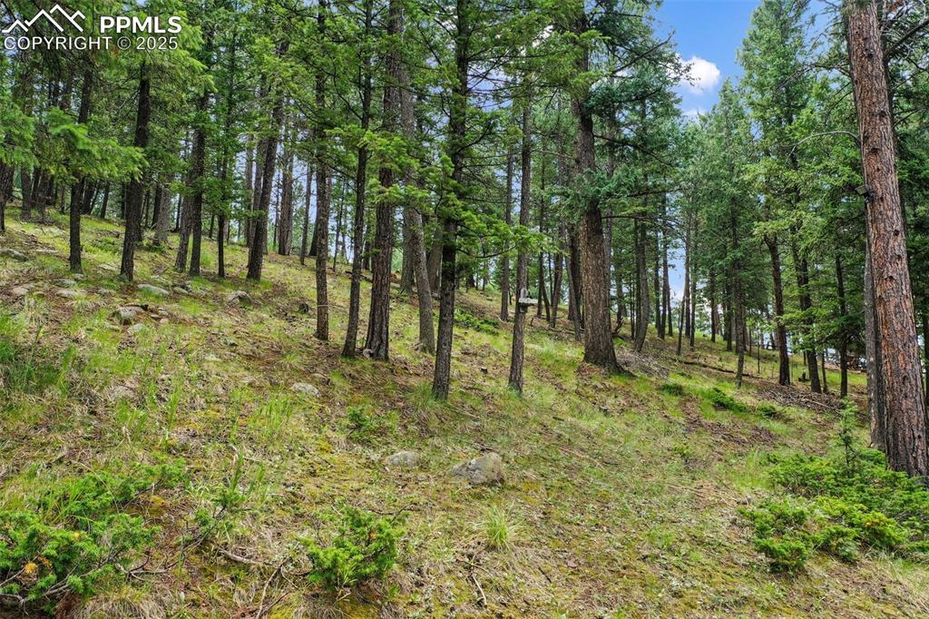 Image 46 of 48: Other